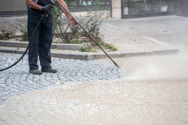 Best Animal Enclosure Cleaning  in Orland Park, IL